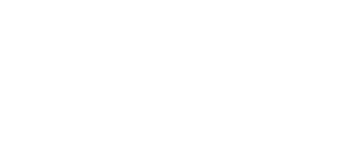 Action Wellness